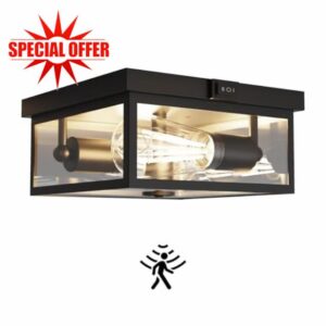 Outdoor Ceiling Light with Motion Sensor