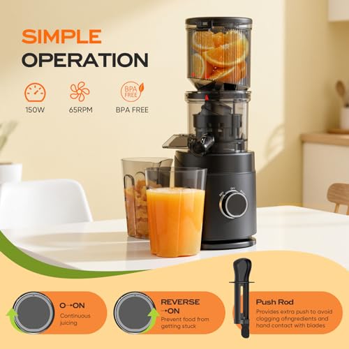 150W Slow Masticating Juicers