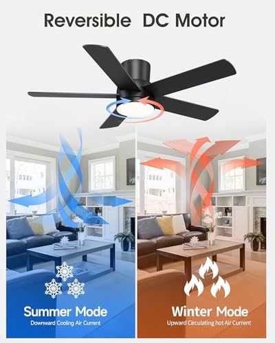 5-Blade Modern Design for Indoor or Outdoo