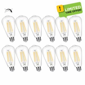 12 Pack 100 Watt Equivalent LED Edison Bulbs