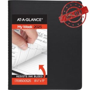 AT-A-GLANCE 2025 Appointment Book Planner