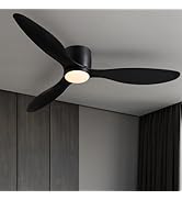 LUDOMIDE Ceiling Fans (White, 42")