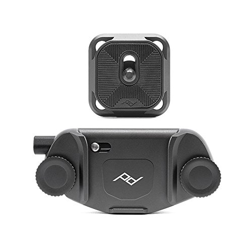 Compact and Point and Shoot Bodies