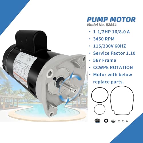 Replaces Century/AO Smith Pool Pump Motors