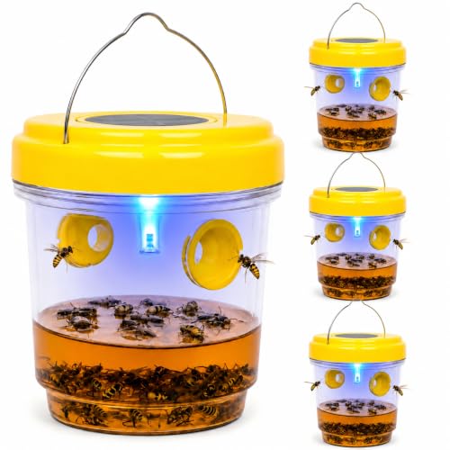 Yellow Jacket Traps
