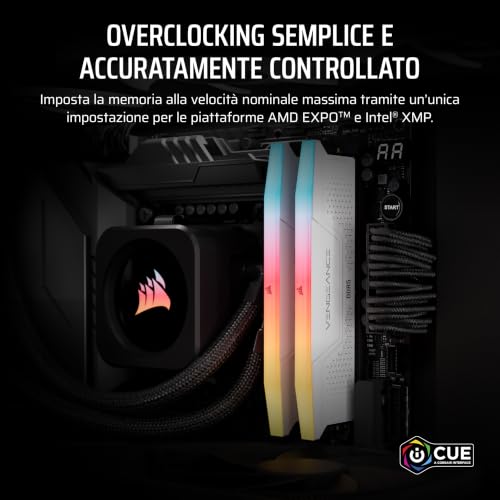 CMG16GX5M2E6000Z36W