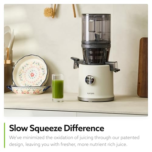 Slow Masticating Juicer for Whole Fruits & Vegetables