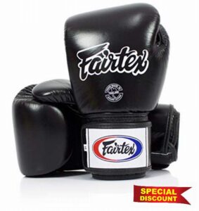 Fairtex BGV1BR Muay Thai Boxing Breathable Gloves for Men