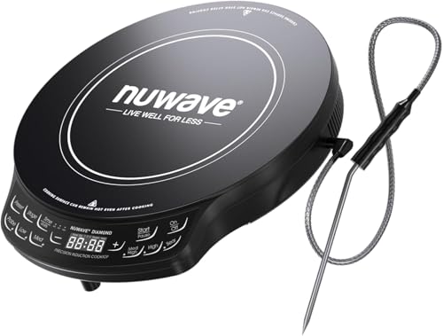 New & Improved Electric Burner with Probe