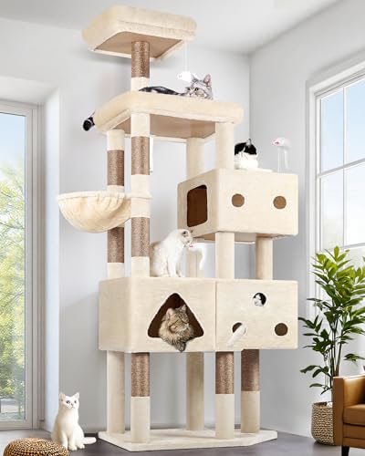 81-inch Tall Cat Tree for Big Cats 20 lbs