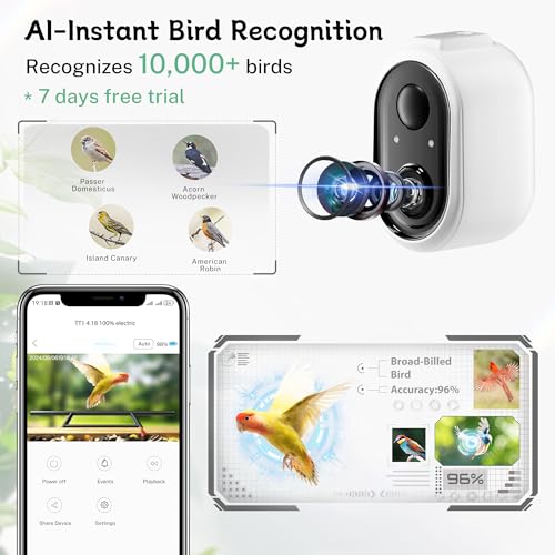 Ideal Gift for Bird Lovers (Iron Roof)