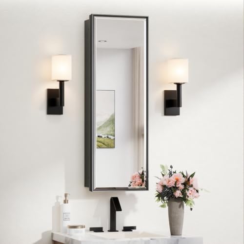 Aluminum Framed Metal Black Medicine Cabinet Mirrored