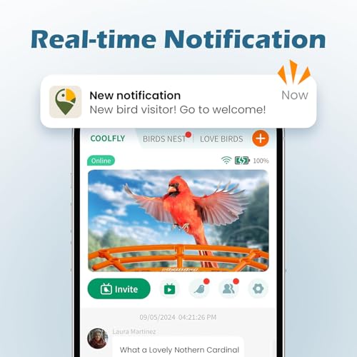 Auto Video Capture & Instant Notifications