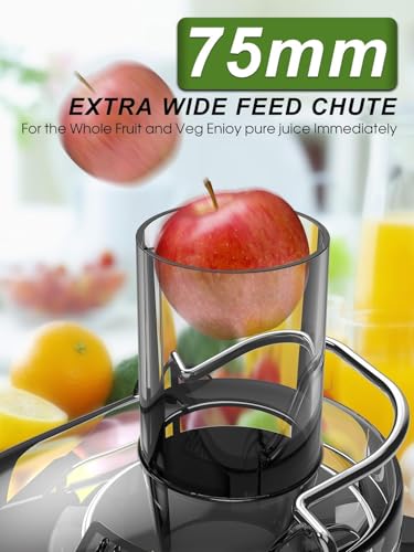 35oz Large Juice Jug