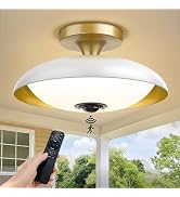 APOTO Outdoor Motion Sensor Ceiling Light with Remote, 24W Dimmable 2700K/3000K/3500K/4000K/5000K...