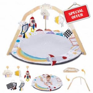 Baby Play Gym Mat with Multiple Developmental Zones