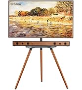 ECOTINY Easel Rolling TV Stand for 49-80 Inch TV Screen up to 110 LBS, Portable TV Stand with Whe...