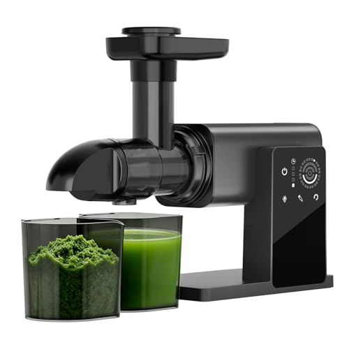 2 Modes Slow Masticating Juicers for Kale & Celery