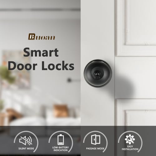 Biometric Black Door Lock