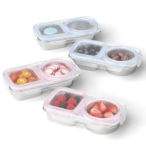 Reusable 2 Compartment Snack Box