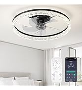 FTZVRD Ceiling Fans with Lights, 24 Inch Ceiling Fan with Light and Remote, Low Profile Reversibl...