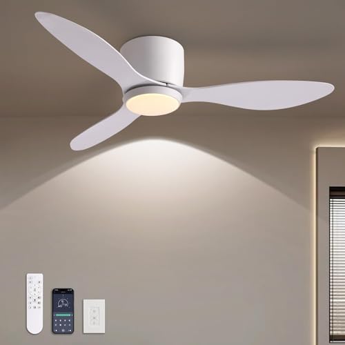 42 Inch Low Profile Ceiling Fan with Wall Control and Remote Control