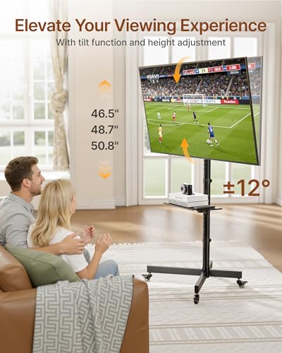 Portable TV Stand on Wheels