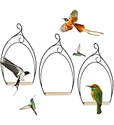 winemana Outdoor Wild Bird Feeder, Black Small Hanging with Metal, Rainproof Squirrel-Proof, Sing...