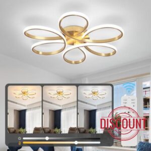 26inch Modern LED Ceiling Light