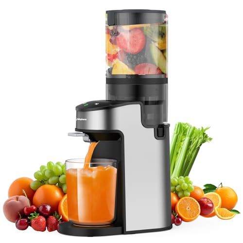 400W Cold Press Juicer