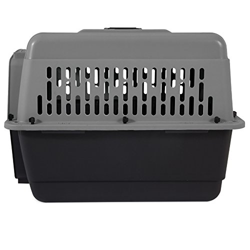 Dog Kennel