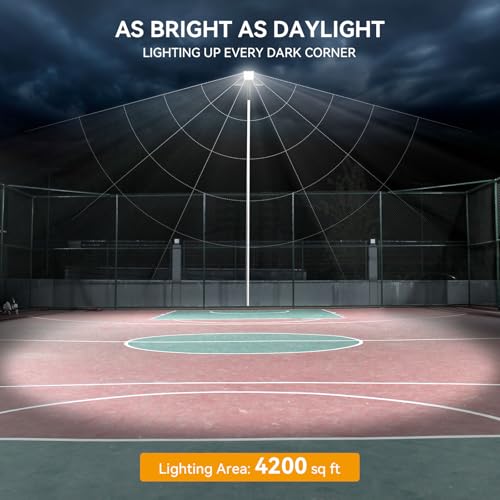 Commercial Grade Parking Lot Lights with Large LEDs