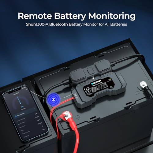 Remote Battery Monitoring
