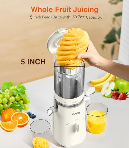 Powerful Masticating/High-Yield High Nutrients/Rev Mode/Easier Clean (White)