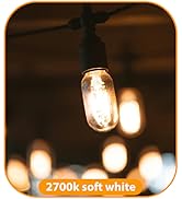 winsaLED T45 Dimmable LED Bulb 60 Watt Equivalent, Vintage LED Edison Bulbs E26 Base, Tubular Cle...