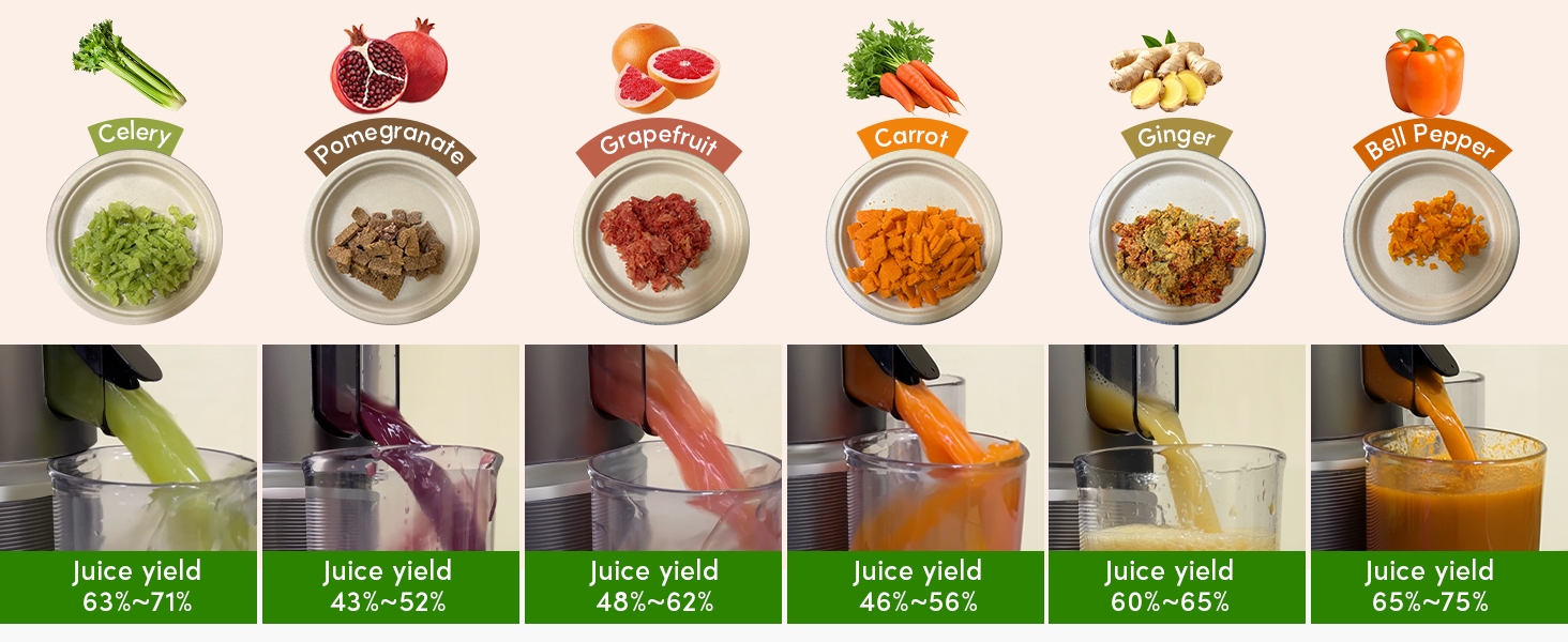 slow juicer