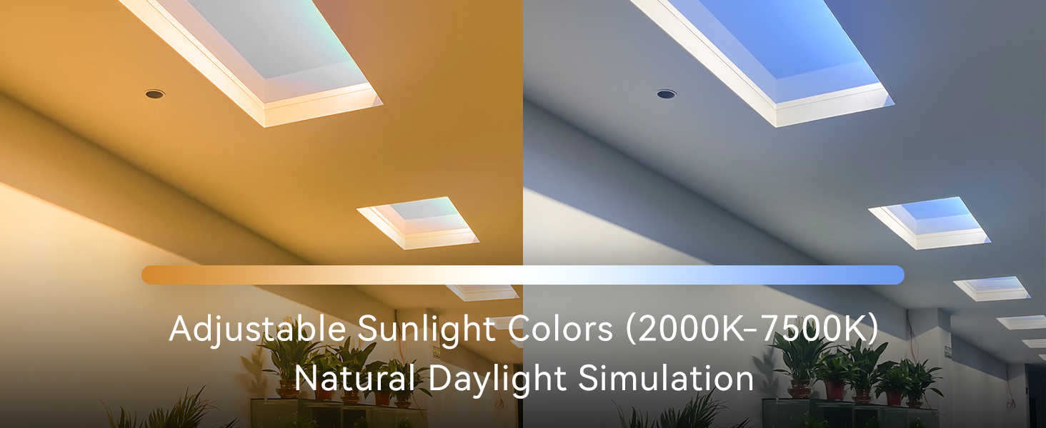 skylight