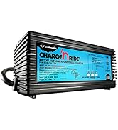 Schumacher TB1 4.5Ah 6V Rechargeable Replacement Battery for Kid Trax Ride-On Toys