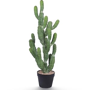 artificial cactus