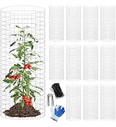 winemana 12Pcs Garden Plant Protector Cage, 16x12 IN Metal Wire Protectors for Plants, Protection...