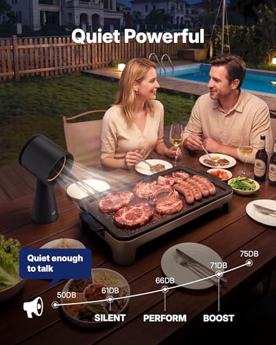 Indoor BBQ and RV