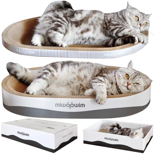 Big Cats Box with Corrugated Scratch Pad
