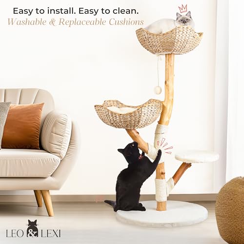 Boho Furniture for Indoor Cats