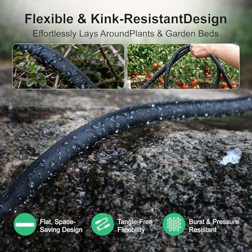 Vegetables & Trees (25ft 3-pack)