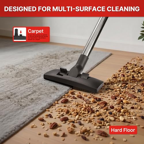 Carpet and Hard Floo