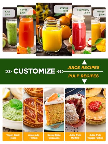 Dual Speeds Centrifugal Juice Extractor