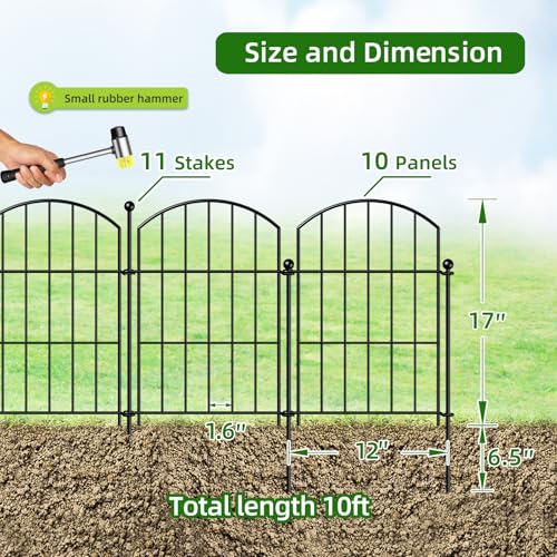 CTW1710 Black