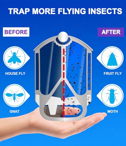 Easy to Use