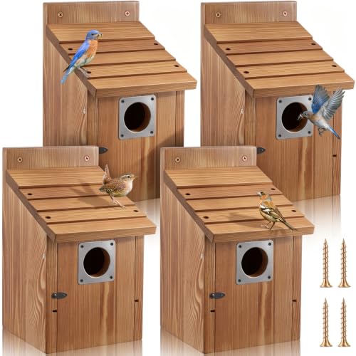 1-1/2" Entrance Hole Wooden Blue Bird Houses for Outdoors