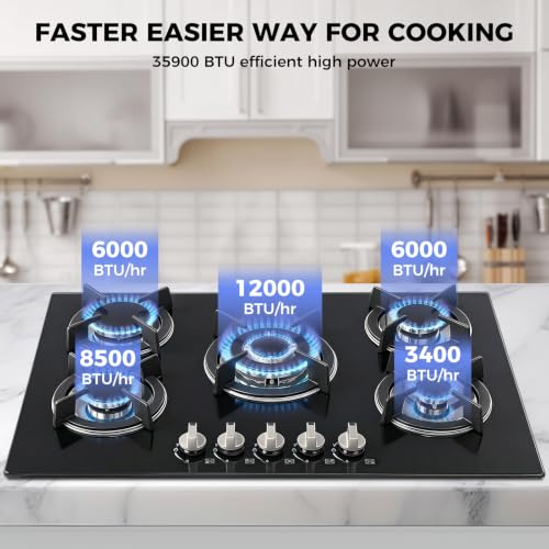 5 Burners Built-in Propane Stove Top